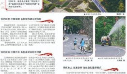 汕尾日报新闻爆料,重大事件引发社会关注